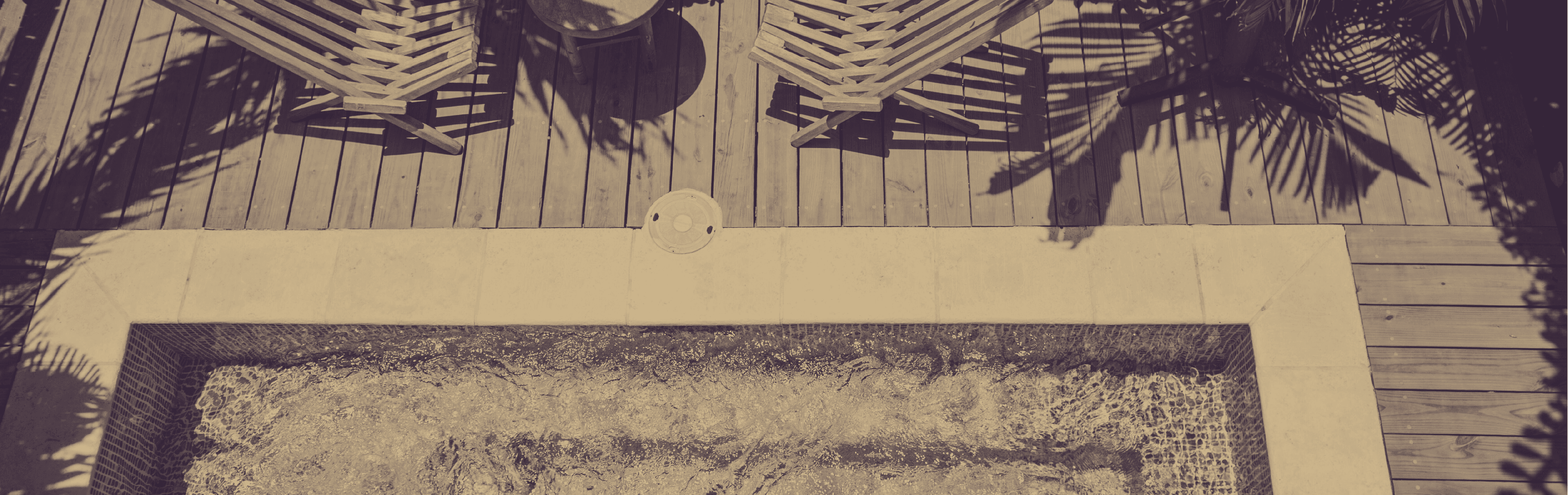 Wellness Divider Image