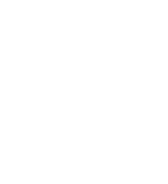 LVS Logo